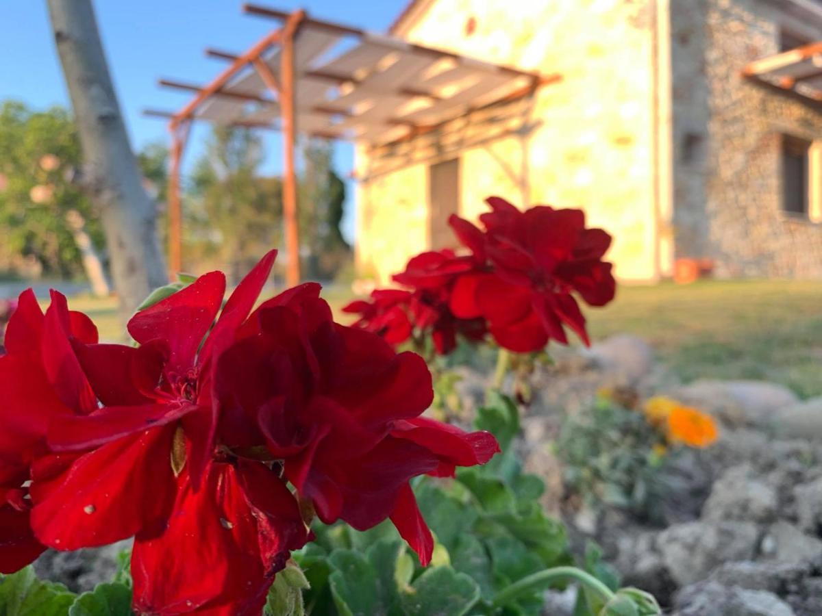 To Petrino Spiti Διαμέρισμα Ποσείδι Εξωτερικό φωτογραφία