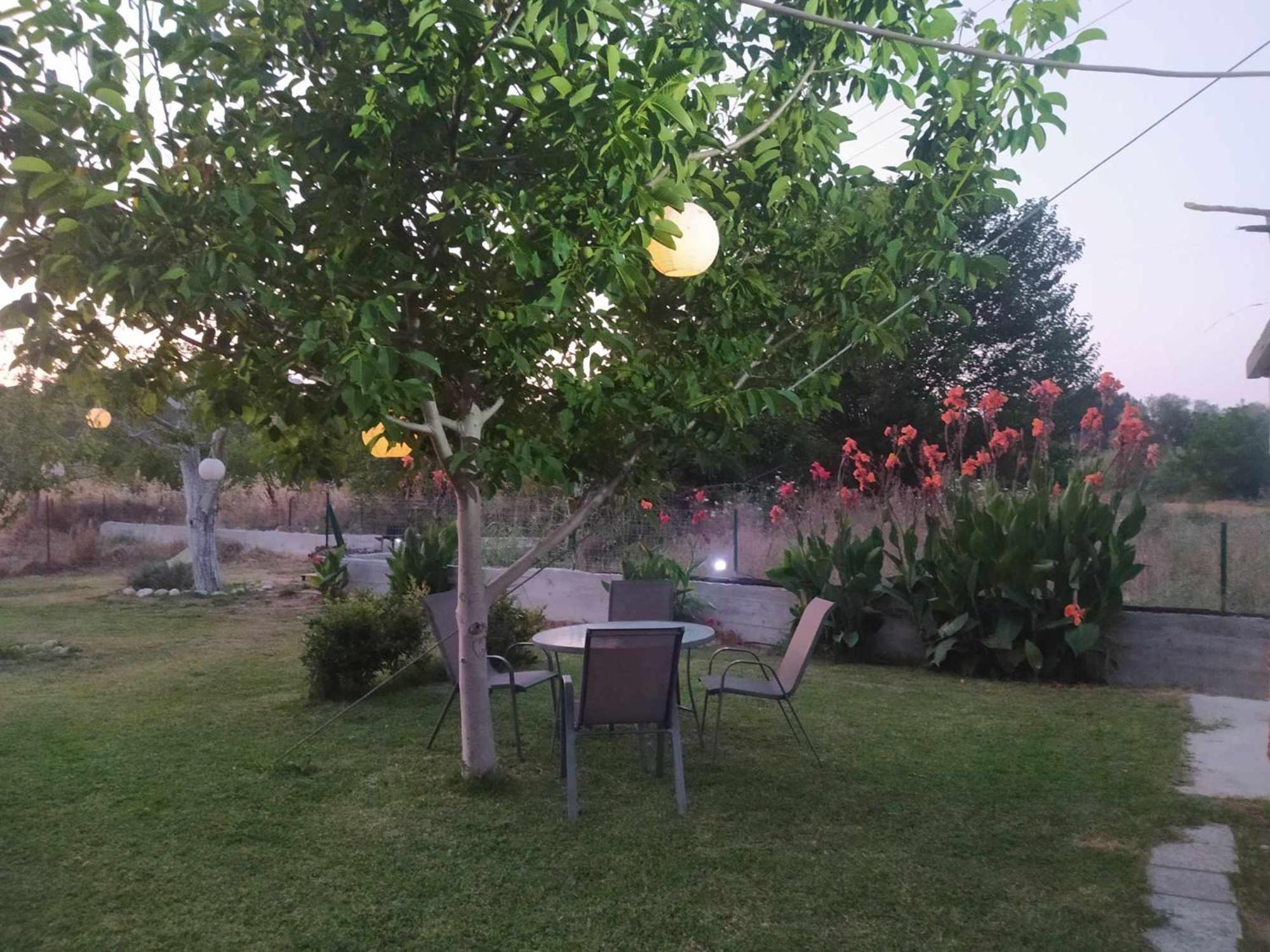 To Petrino Spiti Διαμέρισμα Ποσείδι Εξωτερικό φωτογραφία